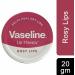  Kingdom Supplies Vaseline Lip Therapy Lip Balm - 20g - Cocoa Butter Aloe Rosy Lips and Original Flavor - Soothes Dry Lips (Pack of 4) - Buy Online on GoSupps.com