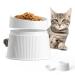 uahpet Elevated Cat Food Bowl Super Widen Raised Cat Food Dishes for Protecting Spine, Reliefing Whisker Fatigue, Anti-Vomiting 17 Tilted Pet Feeding Bowls with Silicone Mat for Indoor Cats