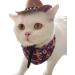 WATERBELINE Pet Headwear Funny Cat Hat Cowboy Hat Costume Birthday Western Cowgirl Accessories Pet Headwear Adjustable Cap for Cosplay Cowboy Pink - Buy Online on GoSupps.com