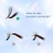 MAEXUS 120 Clusters DIY Eyelash Extensions | C Curl Individual Wispy Lashes | 0.07C 8mm-16mm MIX - Buy Online on GoSupps.com