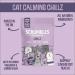 Scrumbles Chillz Cat Calming Treats 60g - Natural Anxiety Relief for Cats - Buy Online on GoSupps.com