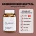 Premium Moleqlar Trans-Resveratrol Capsules 500mg - 60 Capsules 98% Pure Yeast Fermentation 100% PAK and GMO-Free - Boost Health & Wellbeing - Buy Online on GoSupps.com