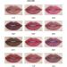 Pakivs Matte Lipstick Set of 12 Colors Long Lasting Waterproof Lipstick Velvet Nude Liner Pencil Pen One Step Lips Makeup Kit for Women - Buy Online on GoSupps.com