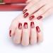 FRCOLOR Christmas Nail Art Stamping Plate Set - 5 Pieces with Stamp & Scraper for Holiday Nail Designs - Buy Online on GoSupps.com
