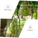 Toddmomy 15 Pcs Vegetable Fruit Pear Peach Shaper Watermelon Multipurpose 7.6x5.6cmx3pcs Transparentx3pcs - Buy Online on GoSupps.com