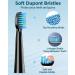 Rechargeable Sonic Electric Toothbrush - 8 Brush Heads, 5 Modes, 120 Days Use, Fast Charge - Gift for Family - Black - Buy Online on GoSupps.com