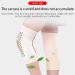 Bticx Self-Heating Wormwood Knee Braces - Black Knee Support for Injury & Pain Relief - Men and Women - Buy Online on GoSupps.com