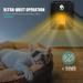 300W Dog House Heater with Thermostat & App Control | Outdoor Pet Heater with Adjustable Temp & Timer | Safe & Easy to Install - Buy Online on GoSupps.com