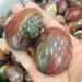 Gems for Decoration 100g Natural Crystal Petrified woodPlay with The Rolling Palmetto 1pcs Aura Crystal - Buy Online on GoSupps.com