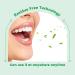 Teeth Whitening Strips - 14 Treatments Enamel Safe No Sensitivity Mint Flavor | Express White - Buy Online on GoSupps.com