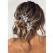 Edary Crystal Hairpins for Bride - Elegant Wedding Hair Accessories - Silver Hair Clips (Set of 2) - Buy Online on GoSupps.com
