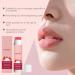  homomdy Watermelon colored lip balm stick plumping lip gloss with niacinamide and vitamins moisturizing and nourishing for dry and chapped lips non-greasy illuminates and protects (2pcs) - Buy Online on GoSupps.com