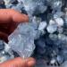 50/100g Rough Blue Celestite Raw Rock Natural Quartz Crystal Gemstone Minerals Specimen 50g Full of Texture (Size : 100g) - Buy Online on GoSupps.com