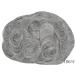 Hairnotion Mens Toupee Real Human Hair System French Lace with 2" PU Base Natural Toupees Hairpiece for Men (1b65#) - Buy Online on GoSupps.com