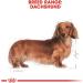 Royal Canin Teckel Adulte 500 GR - Buy Online on GoSupps.com