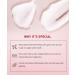 Menorah Skincare Milky Hydrating Cream - Ultra Lightweight Facial Lotion with Lemna & Oat | Natural Moisturizer for Skin Brightening - Daily Beauty Routine - Buy Online on GoSupps.com