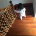 Color Cargo Decoration Net Birds Net Playground Railing Garden Fence Rope Net Security Net for Stair Kids Climbing Protective Net (1x2m(3x6ft)) () - Buy Online on GoSupps.com