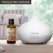Organic Arrag Oil 50ml - Indian Boswellia Serrata Essential Oil for Smooth Skin Aromatherapy & Relaxation - Perfect for Fragrance Lamps & Aroma Diffusers - Buy Online on GoSupps.com