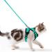 Cat dishes with a leash breakproof cat liner set adjustable soft kitten vest with reflective stripes breast dishes for small kittens (green XXS) green XXS