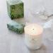 Shop Roland Pine Soy Candle & Soap Gift Set - 9.5 oz Candle & 5 oz Soap | International Shipping Available - Buy Online on GoSupps.com