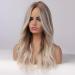 Emmor Gray Blonde Highlight Long Curly Synthetic Wig for Women | Heat Resistant Middle Part Wig - Buy Online on GoSupps.com