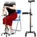 Crutches Arm Cane/Aluminum Alloy/Double Handle Rehabilitation Telescopic Elbow Suitable for The Crowd The Elderly Sports Injuries Disabled People etc. Everything is fine - Buy Online on GoSupps.com