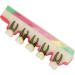 Shop Verdant Touch Tooth Model - Dental Periodontal Disease Study Tool for Schools | International Shipping Available - Buy Online on GoSupps.com