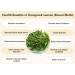 nalAmudhu Kasuri Methi Fenugreek Leaves Dried Methi Leaves 3.5oz/100g  - Buy Online on GoSupps.com
