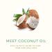 PURE FIJI Dilo Rescue Body Spray - After Sun Moisturizing Travel Size 2oz - Soothes Sunburn, Hydrates Skin - Buy Online on GoSupps.com