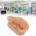 Simulated Ear Model for Earring Display - Skin Friendly, Professional & Soft | RTLR Display - Buy Online on GoSupps.com