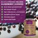 Pomona Wellness Elderberry Gummies with Zinc and Vitamin C - Immune Support Supplement for Kids and Adults - Vegan - 90 Gummies - Buy Online on GoSupps.com