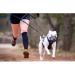 Mayerzon Dog Muzzle - Breathable Silicone Anti Barking & Chewing | Size 2-9 (3.5in) - Black - Buy Online on GoSupps.com