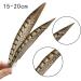 Flying Feathers Natural Pheasant Feathers 4 Style 15-20cm 12pcs for DIY Craft and Party Decor FF03 - Buy Online on GoSupps.com