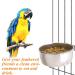Kathson 2 Pack Bird Feeding Cups with Clamp Holder - Stainless Steel Cage Hanging Bowl for Parrot Food & Water - Ideal for Parakeet, Cockatiels, Conure, Budgies, Lovebird, Finch - Buy Online on GoSupps.com