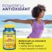 Nature's Life Bioflavonoids 500 mg - 100 Tablets | Antioxidant Support & Immunity Boost - Buy Online on GoSupps.com