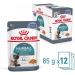 Royal Canin Hairball Care Jelly | Double Pack | 2 x 12 x 85g | Complete Cat Food (Fine Chunks in Jelly) | May Help Reduce Ha - Buy Online on GoSupps.com