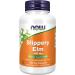 NOW Supplements Slippery Elm 400mg Capsules 100 Count