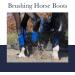 LeMieux Mesh Brushing Horse Boots - Protective Gear and Training Equipment - Equine Boots Wraps & Accessories - Brown Large White - Buy Online on GoSupps.com