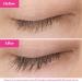 Grande Cosmetics Destination Set - Shop Now for Luscious Lashes and Beautiful Brows - Buy Online on GoSupps.com