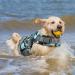 Emust High Buoyancy Lifeguard Life Jacket for Dogs - Blue Camouflage | Small Medium & Large Sizes for Swimming Beach & Boating - Buy Online on GoSupps.com