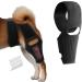 Dog Knee Brace - Dog Rear Leg Braces | Dog Hip Knee Leg Brace | Dog Elbow Protector With 10 Support Sticks | Dog Back Leg Support Brace | Comfortable Hip And Leg Protector For Senior And Disabled Dogs - Buy Online on GoSupps.com
