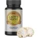 Healthy Day Supplements Lions Mane Mushroom Cognition Capsules - 120 Count | Organic Gluten Free Alpha Brain Supplement for Adults | Brain Vitamins & Focus Nootropic | Made in USA - Buy Online on GoSupps.com