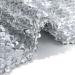 Zoestar Sequin Shorts - Glitter Elastic Rave Clubwear Fashion for Women and Girls in Silver - Buy Online on GoSupps.com