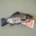 LUOEM Funny Fish Pencil Case Zippered Carp Makeup Bag & Purse for School & Travel | International Shipping Available - Buy Online on GoSupps.com