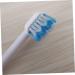 Frcolor 8 Replacement Brush Heads for Oral Showers | Professional Water Flossers & Electric Toothbrush Tips - Buy Now! - Buy Online on GoSupps.com