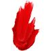 Maybelline Color Sensational Matte Lipstick 965 Siren in Scarlet - Buy Online on GoSupps.com