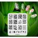 KADS Nail Art Stamping Plate Set - Night Sky, Flower, Beach Designs | 4Pcs Template Image Plates for Salon-quality Nail Designs - Buy Online on GoSupps.com