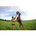 Chuckit Zipflight Amphibious Flying 6-Inch Ring Dog Fetch Toy Small - 2 Pack - Buy Online on GoSupps.com