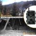 Radioind 4G MMS Wildlife Camera - 1080P IP65 Waterproof Night Vision 940nm IR LED Motion Detector No SIM Card Needed - Buy Online on GoSupps.com