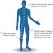 Quell 1.0 Pain Relief Technology 2016 Black - Fast Relief for Chronic Pain - Buy Online on GoSupps.com